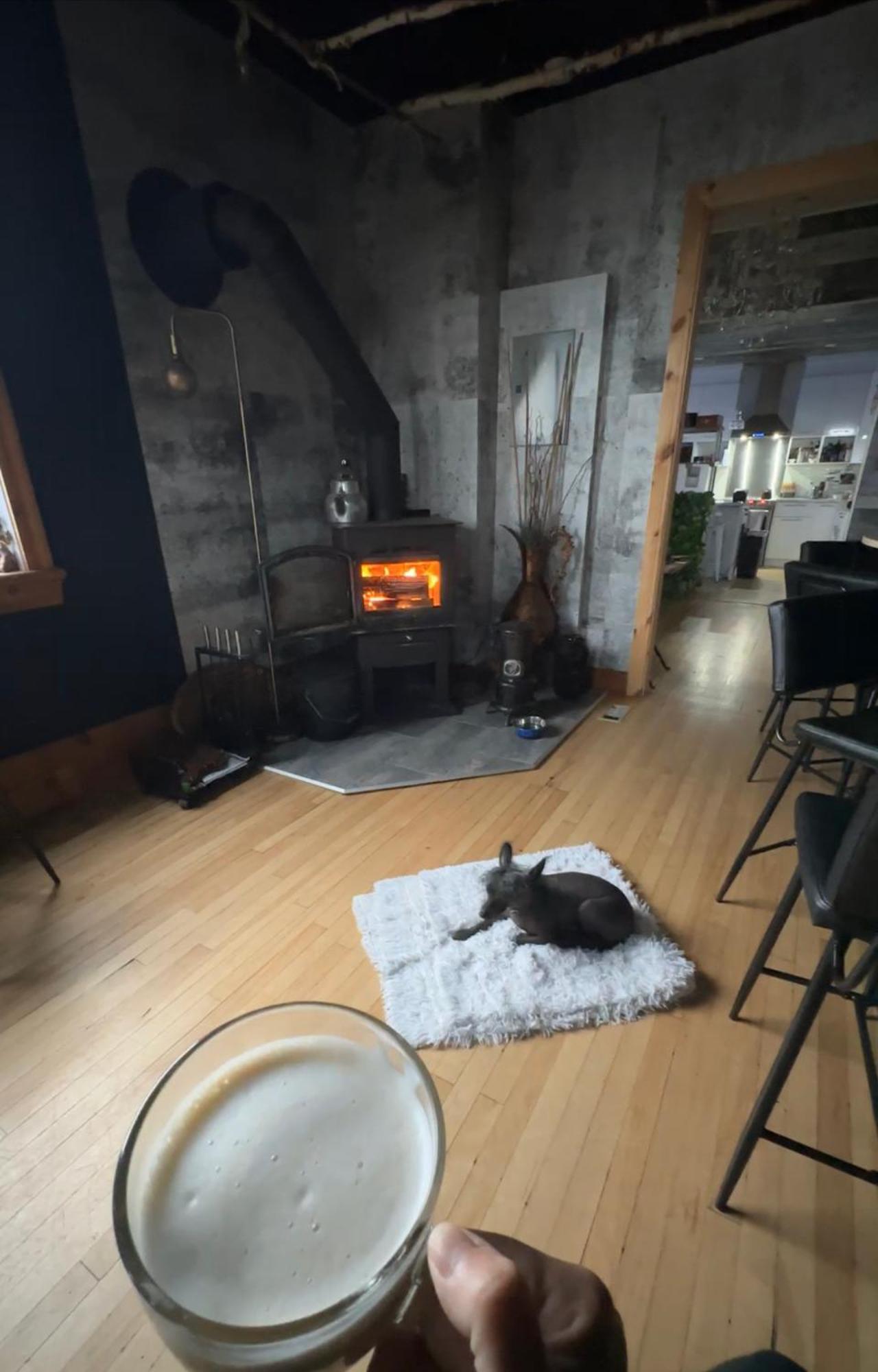 Auberge Et Bistro Namaste Lachute 외부 사진